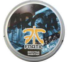 ARQA - FNATIC