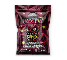 KASTA - МАЛИНОВАЯ САМОИЗОЛЯЦИЯ